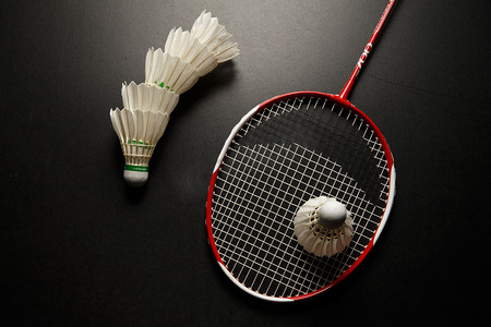 和心理素质 和心理素质